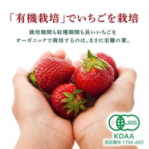 ふるさと納税 【12回定期便】高級 冷凍 いち...の詳細画像4