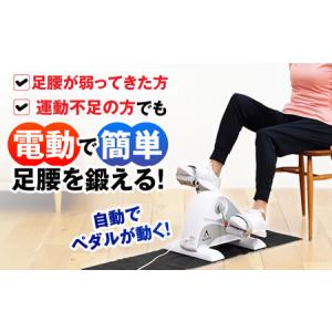 ふるさと納税 電動楽ラクムーブサイクル/AFB...の詳細画像1