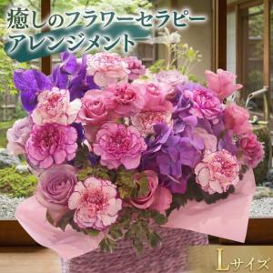 ふるさと納税 【 12ヶ月 定期便 】 癒し の...の商品画像