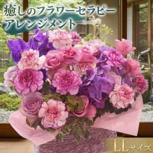 ふるさと納税 【 6ヶ月 定期便 】 癒し の フラワー セラピー アレンジメント LLサイズ 茨城県筑西市