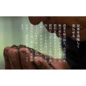 ふるさと納税 【定期便】【令和7年】南魚沼産 ...の詳細画像2