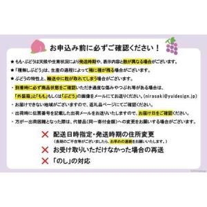 ふるさと納税 【2026年発送】先行予約 ぶど...の詳細画像2