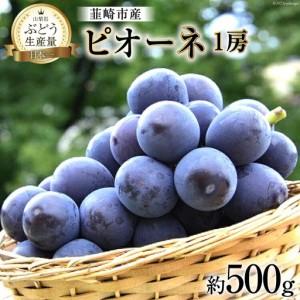 ふるさと納税 ぶどう 2026年発送 ピオーネ 1房 約 500g 山梨県韮崎市
