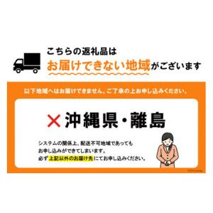 ふるさと納税 ぶどう 2026年発送 ピオーネ...の詳細画像1