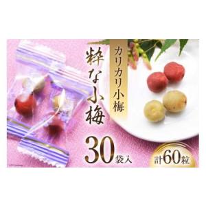 ふるさと納税 【やばいだろ】粋な小梅 2粒×30 計60粒 [山梨農産食品 山梨県 韮崎市 20742100]梅干し 梅干 うめぼし 梅 小粒 小梅 カリカリ.. 山梨県韮崎市｜furunavi