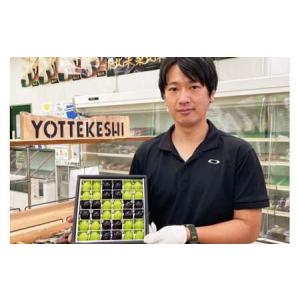 ふるさと納税 ぶどう 2026年発送 シャイン...の詳細画像3