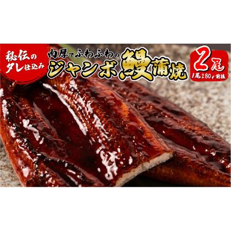 ふるさと納税 肉厚でふわふわのジャンボ 鰻蒲焼 秘伝のたれ仕込み 2尾 (1尾あたり280g前後) ...