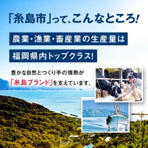 ふるさと納税 【全6回定期便】麦茶 600ml...の詳細画像3