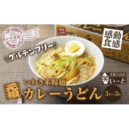 ふるさと納税 【グルテンフリー】いわき米粉麺カレーうどん　3食入×3箱 福島県いわき市