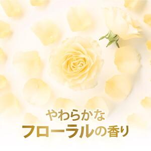 ふるさと納税 ダヴ ボディウォッシュ プレミア...の詳細画像3