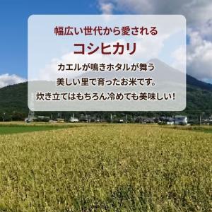 ふるさと納税 【先行予約】【定期便 3ヶ月】令...の詳細画像1