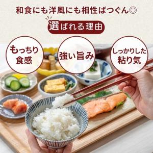 ふるさと納税 【先行予約】【定期便 3ヶ月】令...の詳細画像2