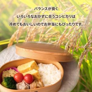 ふるさと納税 【先行予約】【定期便 3ヶ月】令...の詳細画像3