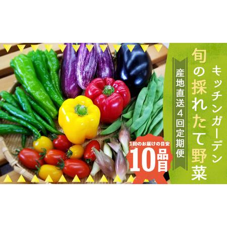 ふるさと納税 旬の採れたて 野菜 産地直送 定期便 年4回(9月・12月・2月・5月) 岩手県二戸市