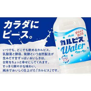 ふるさと納税 アサヒカルピスウォーターPET5...の詳細画像1