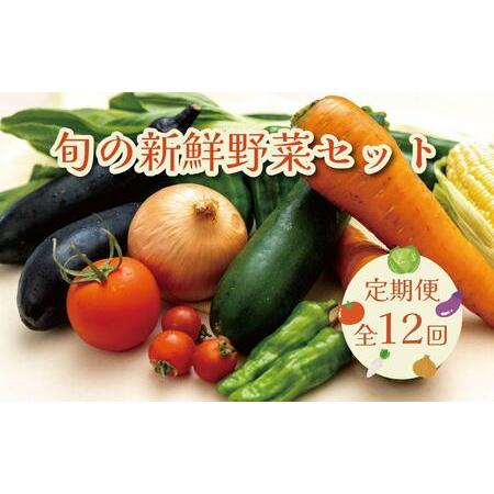 ふるさと納税 野菜セット【毎月お届け全12回】旬の新鮮野菜Ａ（たっぷり13種類以上）印南町 人気 和...