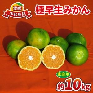 ふるさと納税 果物類 みかん 愛媛県 宇和島市 訳あり ポンカン 10kg