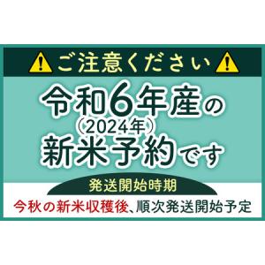 ふるさと納税 ※令和6年産 新米予約※《定期便...の詳細画像1