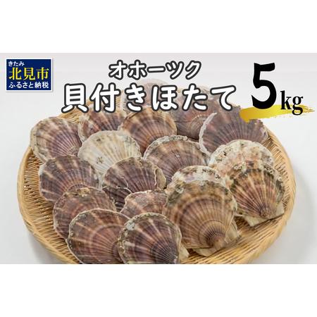 ふるさと納税 オホーツク貝付きほたて 5kg(30枚〜50枚)( 海鮮 魚介 魚介類 貝 貝類 ホタ...