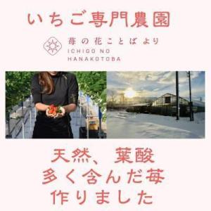 ふるさと納税 【先行予約 定期便6回】越後姫 ...の詳細画像2