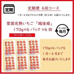 ふるさと納税 【先行予約 定期便6回】越後姫 ...の詳細画像3