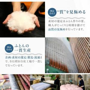 ふるさと納税 【ふとんファクトリー】訳あり 色...の詳細画像4