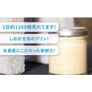 ふるさと納税 【全12回定期便】しおが主役 し...の詳細画像2