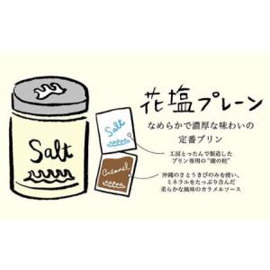ふるさと納税 【全12回定期便】しおが主役 し...の詳細画像3