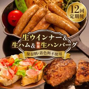 ふるさと納税 【全12回定期便】特製 生ハンバーグ 生ハム 生ウインナー 3種 セット 糸島市 / 志摩スモークハウス 肉 加工品 [AOA031] 福岡県糸島市
