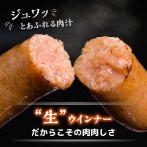 ふるさと納税 【全12回定期便】特製 生ハンバ...の詳細画像1