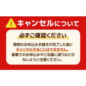 ふるさと納税 IWATA KAGUYA KOK...の詳細画像3