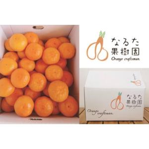 ふるさと納税 成田果樹園 温州みかん 5kg みかん 高知県宿毛市