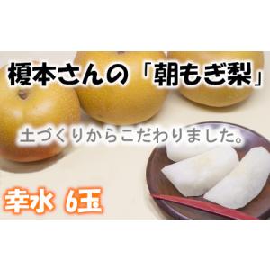 ふるさと納税 【幸水（3L〜4L）6玉】土づくりからこだわる！榎本さんの「朝もぎ梨」　【11246-0377】 埼玉県白岡市