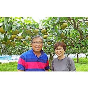 ふるさと納税 【幸水(3L〜4L)6玉】土づく...の詳細画像1