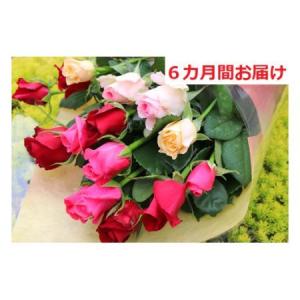 ふるさと納税 バラ 【6カ月定期便】約15本 花...の商品画像