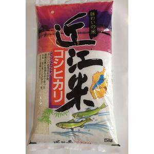 アイテムID:293974の画像1枚目