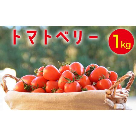 ふるさと納税 トマトベリー 1kg   / トマト 野菜 サラダ ミニトマト プチトマト / 南島原...