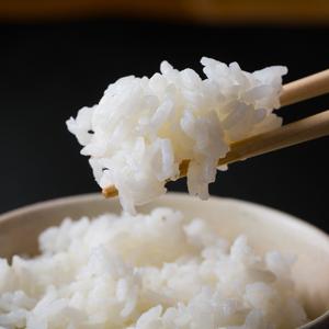 ふるさと納税 B228-45 いのちの壱　匠の米玄米１０ｋｇ 熊本県芦北町