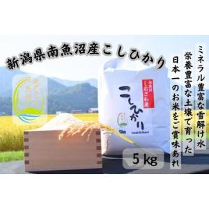 ふるさと納税 新潟県南魚沼市の豊かな自然が育んだ、極上のコシヒカリ　5kg 新潟県南魚沼市