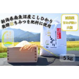 ふるさと納税 新潟県南魚沼産（塩沢地区）はちみつ米コシヒカリ 5kg※蜂蜜発酵液肥料栽培 新潟県南魚沼市