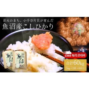 ふるさと納税 魚沼産コシヒカリ 5kg2袋×6か月連続お届け 花火のまち片貝 | 60キロ 定期便 新潟県 魚沼 令和7年 新潟県小千谷市