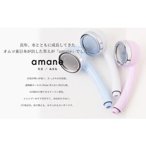 ふるさと納税 シャワーヘッド 天音 amane...の詳細画像1