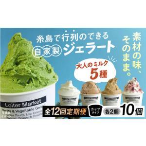 ふるさと納税 【全12回定期便】 ジェラート 大人味 5種 10個 アイス ジェラートセット [AGD022] 福岡県糸島市