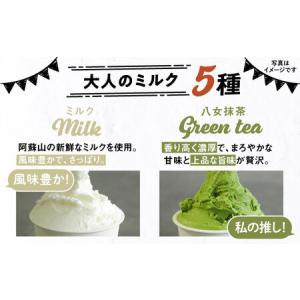 ふるさと納税 【全12回定期便】 ジェラート ...の詳細画像2