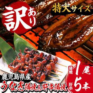 ふるさと納税 訳あり！国産うなぎ（鹿児島県産うなぎ）蒲焼 特大 190g超 と うなぎの肝串1袋（5...