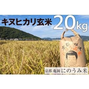 ふるさと納税 【令和7年産先行予約】米 キヌヒカリ 玄米 20kg〈アグリにのうみ〉 京都府亀岡市