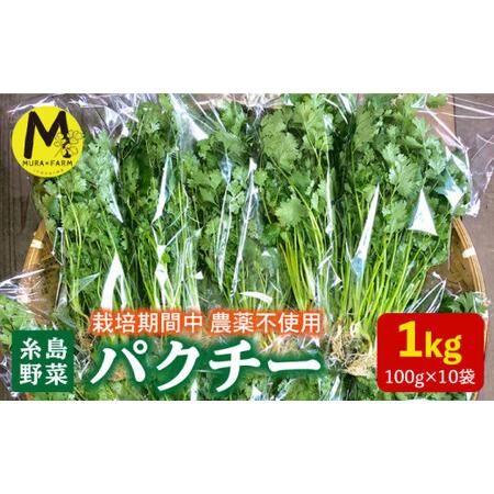 ふるさと納税 【先行予約販売】糸島産 パクチー 1kg （100g×10袋） 糸島市 / MURA ...