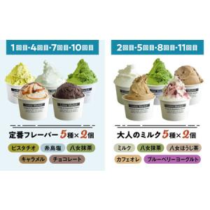 ふるさと納税 【全12回定期便】 ジェラート ...の詳細画像2