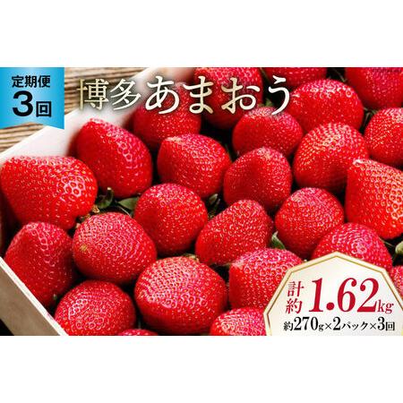 ふるさと納税 【先行受付】 【3回 定期便 】 いちご 博多 あまおう 約270g×2パック×3回 ...