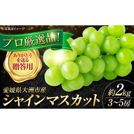 ふるさと納税 【先行予約】【9月上旬より順次発送】【贈答用】大切な方へ、「ありがとう」を伝えるワンラ...